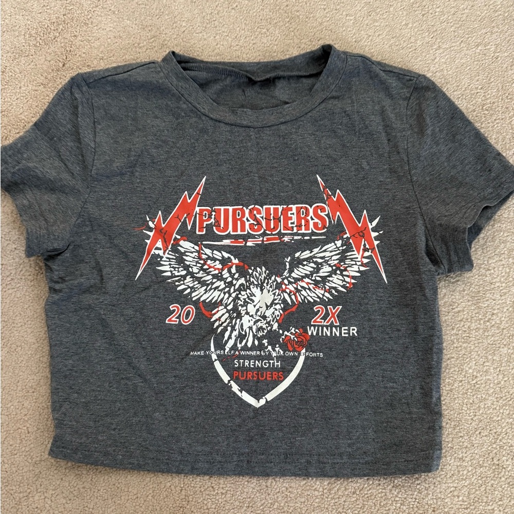 Zara Gray Graphic T-Shirt